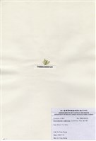 藏品(扁石髮)的圖片